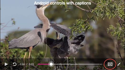 Closed captions button
